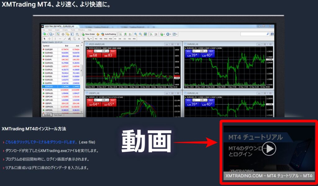 XMのEA導入動画3