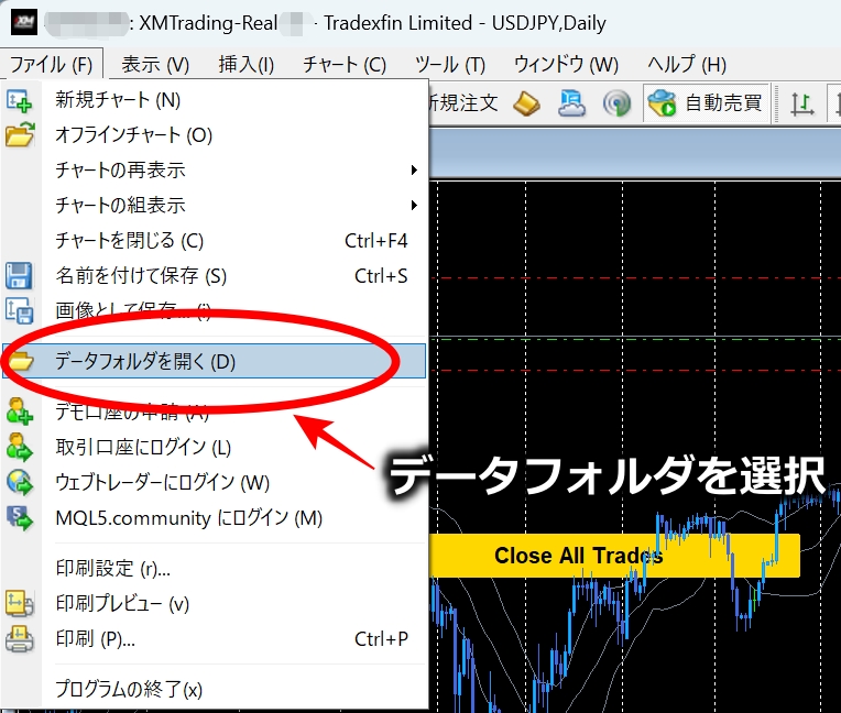 XMのEA導入動画8